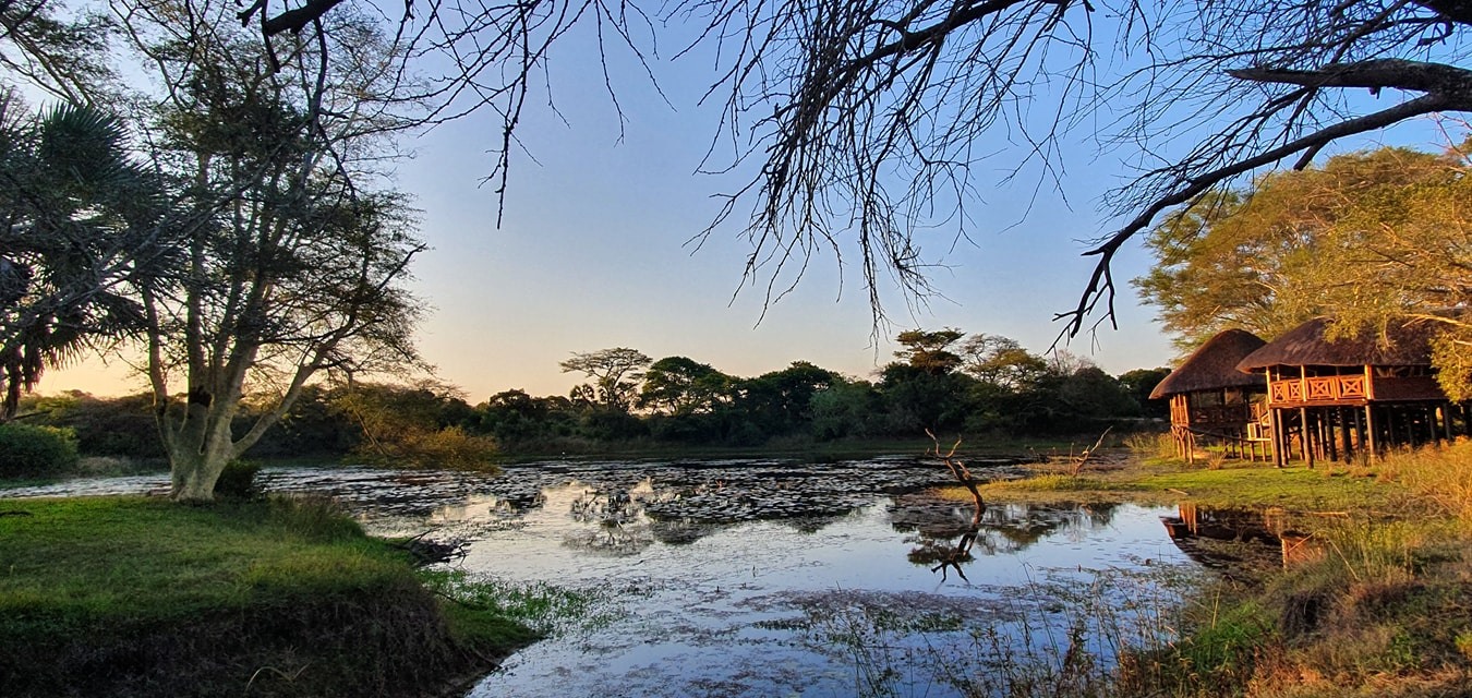 Bonamanzi Safari Lodge | Self-Catering and Fully Catering Lodge - Hluhluwe iMfolozi Reservations