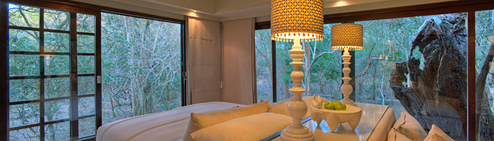 Private Suite View Luxury Game Lodge Phinda Forest Lodge Phinda Private Game Reserve Big 5 Safari